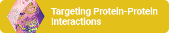 Protein-Protein Interactions / Difficult Targets